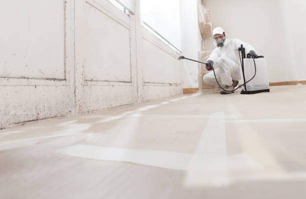 24/7 Emergency Mold Remediation experts in Woodbine, GA