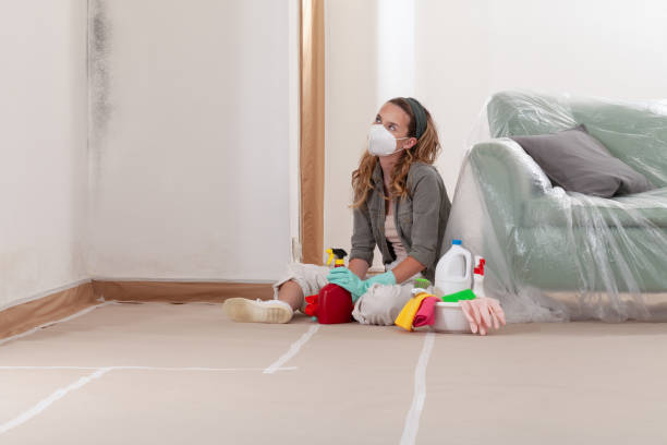 Reliable Mold Remediation contractor in Woodbine, GA by 24 Hour Mold Removal
